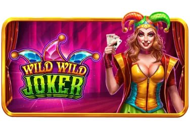 privacy and account safety advice on aa99bet Wild Bounty Showdown page